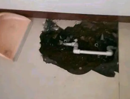 冠县卫生间测漏水多少钱